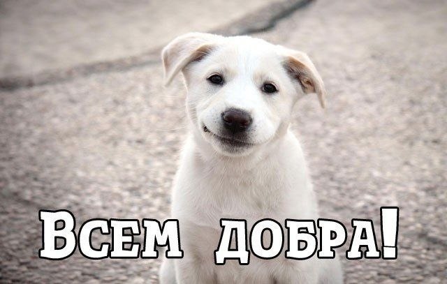     ,   ?    -