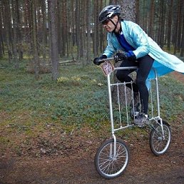 �����, ����-���������, 48 ���