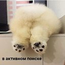 ,  -  11  2020    