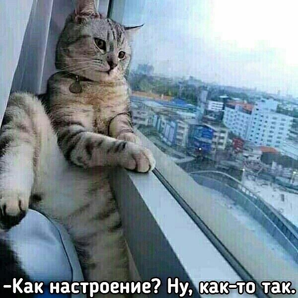 Ѩ  - 30  2020  12:53