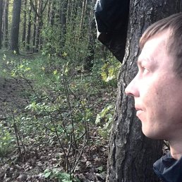 ���� �����, ������� - ��������� 21 ������ 2020