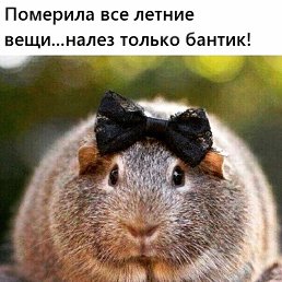 �������, ����, 53 ����