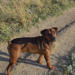 ���� ����, �����������, 56 ��� - ��������� 6 ��� 2020