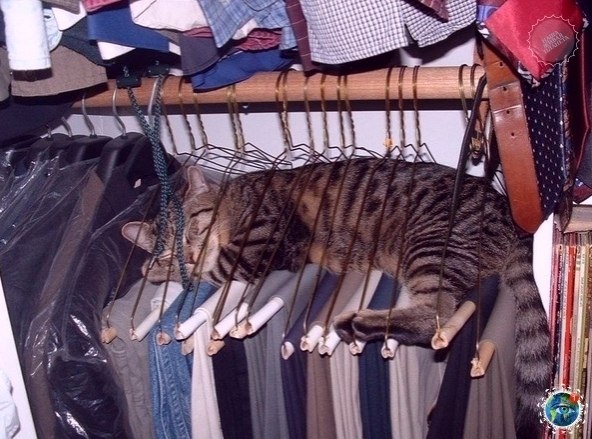   : e  - a  , e   e ! - 3