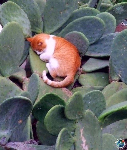   : e  - a  , e   e ! - 7