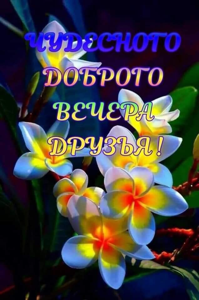   ,    . - 11  2020  19:47 - 4