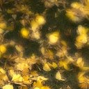 ���� ��������, ������, 35 ��� - ��������� 13 ������ 2020 � ������ ���� ����������