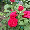 ���� ������, ������ - ��������� 30 ���� 2020 � ������ ����� � ����� �� ����