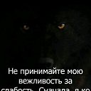 ���� ���������, ��������, 49 ��� - ��������� 12 ����� 2020 � ������ ���� ����������