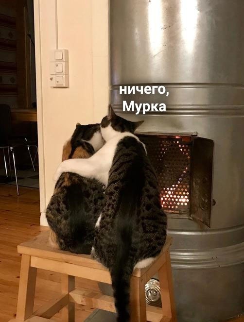 ,     -  ,  :
