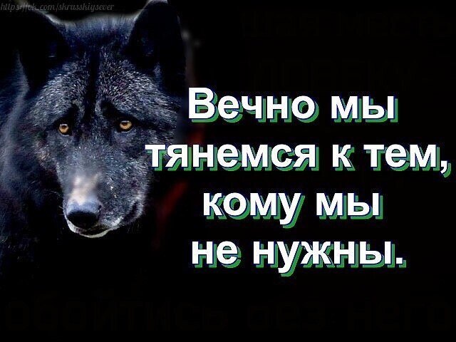 ♥♥ - 16  2020  12:58
