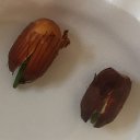 ���� ����, �����������, 50 ��� - ��������� 30 ����� 2020 � ������ ������ ��������