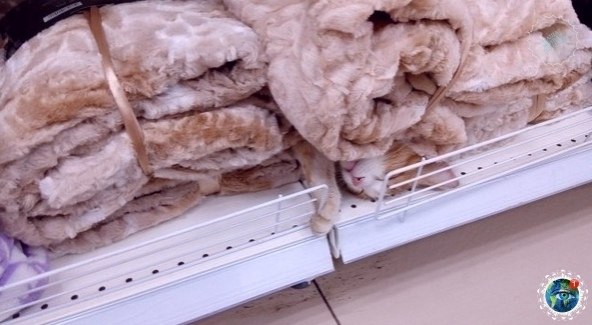   : e  - a  , e   e ! - 9