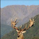 ���� Mesxi, �������, 50 ��� - ��������� 4 ��� 2020 � ������ ���� ����������