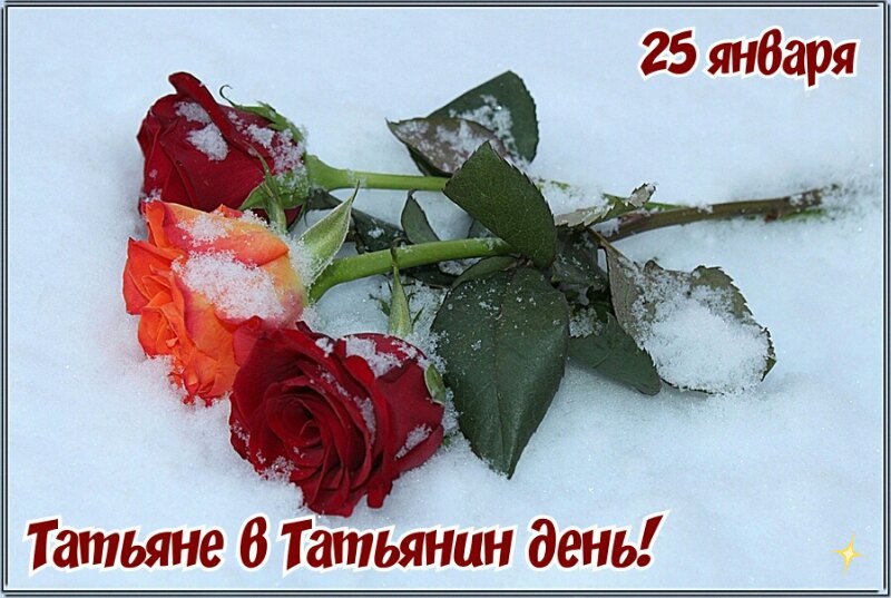   ,    . - 24  2020  21:27 - 2