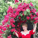 ������� ����.15.06.2020� �� ������� ���� ����������