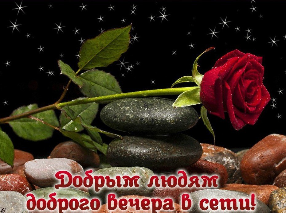   ,    . - 18  2020  20:04