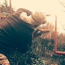 ���� �����, ������, 48 ��� - ��������� 12 ������ 2020 � ������ ���� ����������