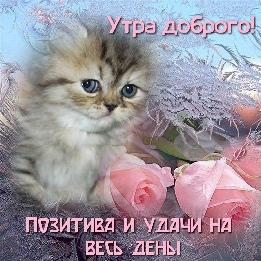   - 18  2020  20:48