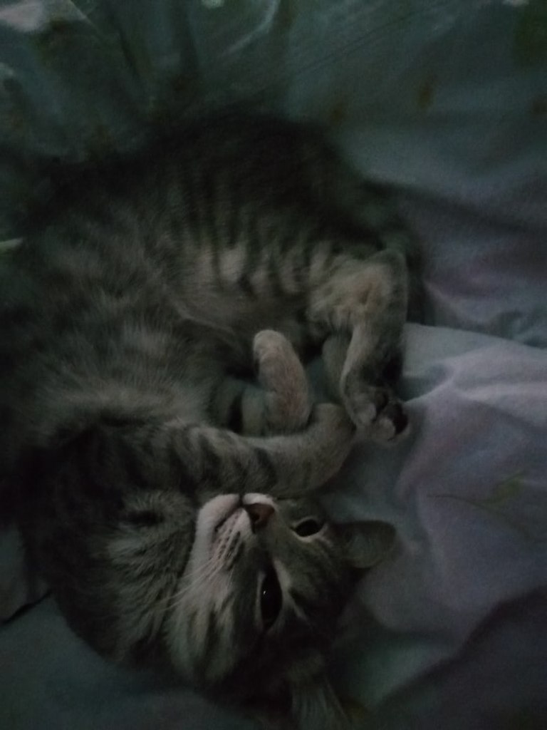 #_.  2019    ,     .   ... - 4