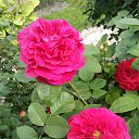 ���� ������, ������ - ��������� 30 ���� 2020 � ������ ����� � ����� �� ����