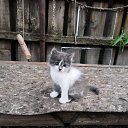 ���� �� ������� ���� ����������