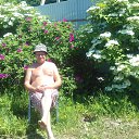 ���� �������, �����������, 61 ��� - ��������� 17 ���� 2020 � ������ ���� ����������