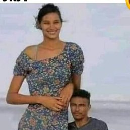 ����, �����-���������, 52 ����