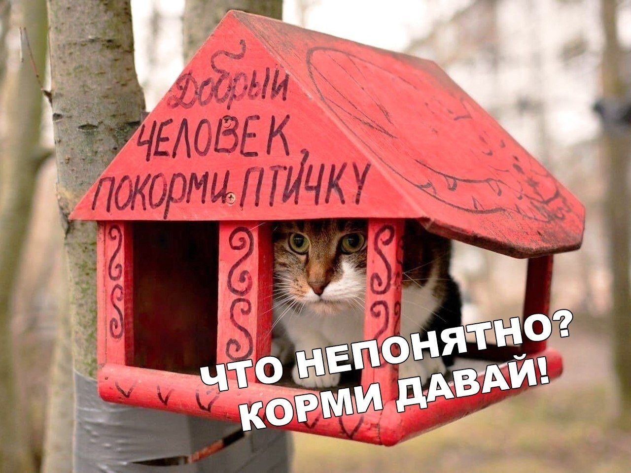  ))