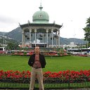 ���� ���� �����������, ������, 49 ��� - ��������� 28 ��� 2020 � ������ ���� ����������