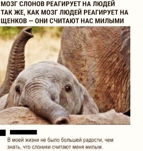 LIFE -  - 31  2020  19:04