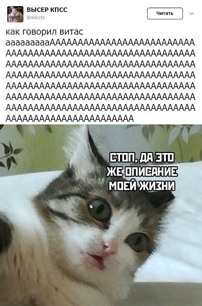 ������ �� ��� :D - 5 ������ 2020 � 19:13