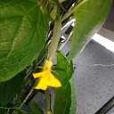 ���� ����, �������, 49 ��� - ��������� 2 ����� 2020 � ������ ��������� ��������