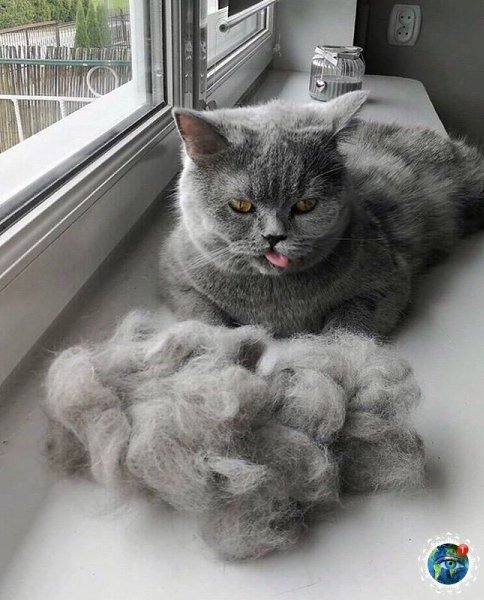 oa pepo ecae oe.# - 2