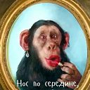 ���� �������, ����� ������ - ��������� 25 ������� 2020 � ������ ������ ��������