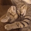 ���� ������, ������, 52 ���� - ��������� 10 ������ 2020 � ������ ���� ����������