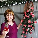 ���� �����, ������, 51 ��� - ��������� 17 ���� 2020 � ������ ���� ����������