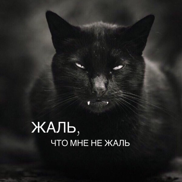 ^ L^ - 23  2020  15:56