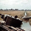  , , 60  -  19  2020      1941-1945 .