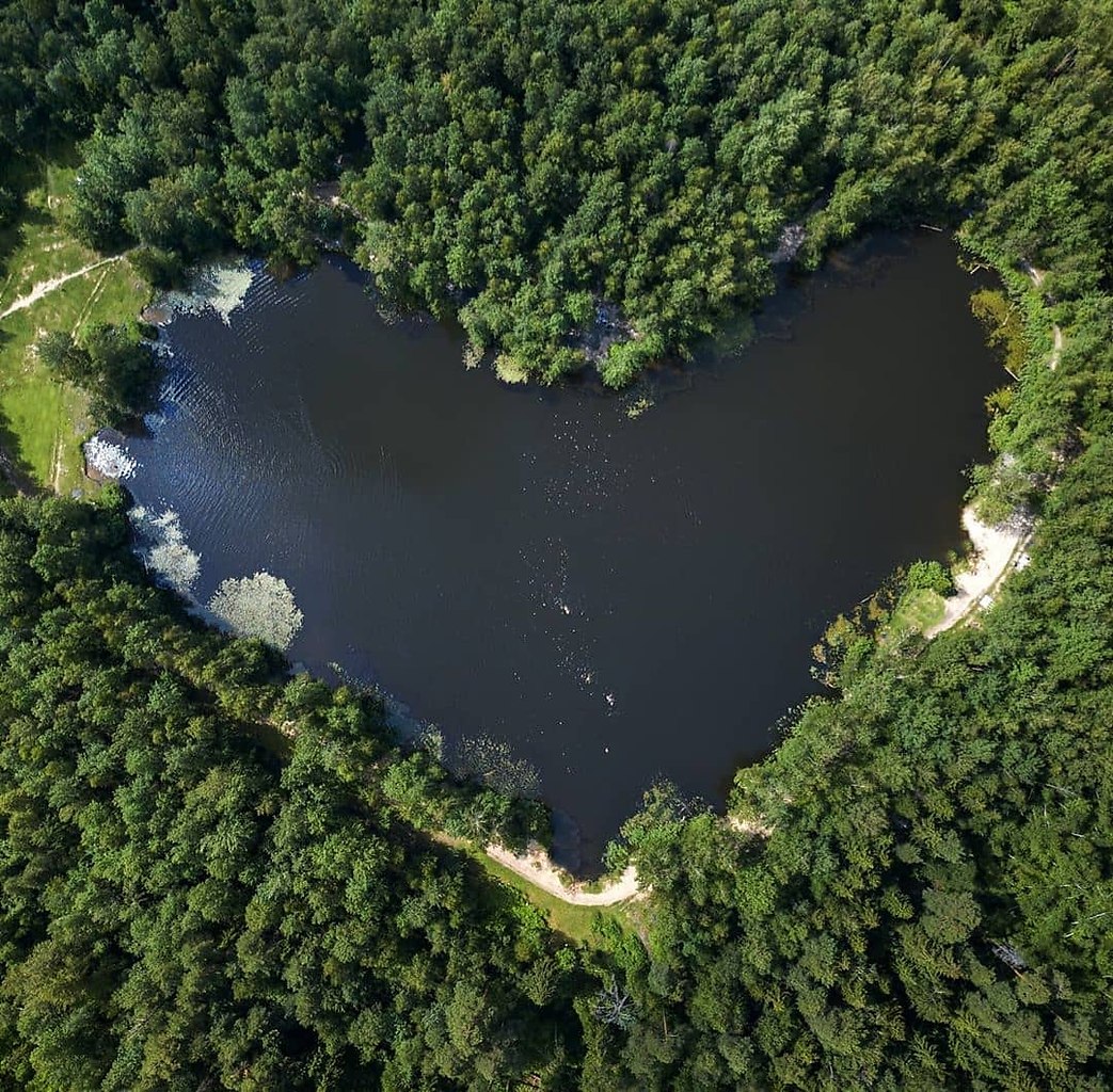 Озеро красное, Балашиха (55.761495, 37.988158)