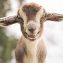  ••,  -  25  2020   