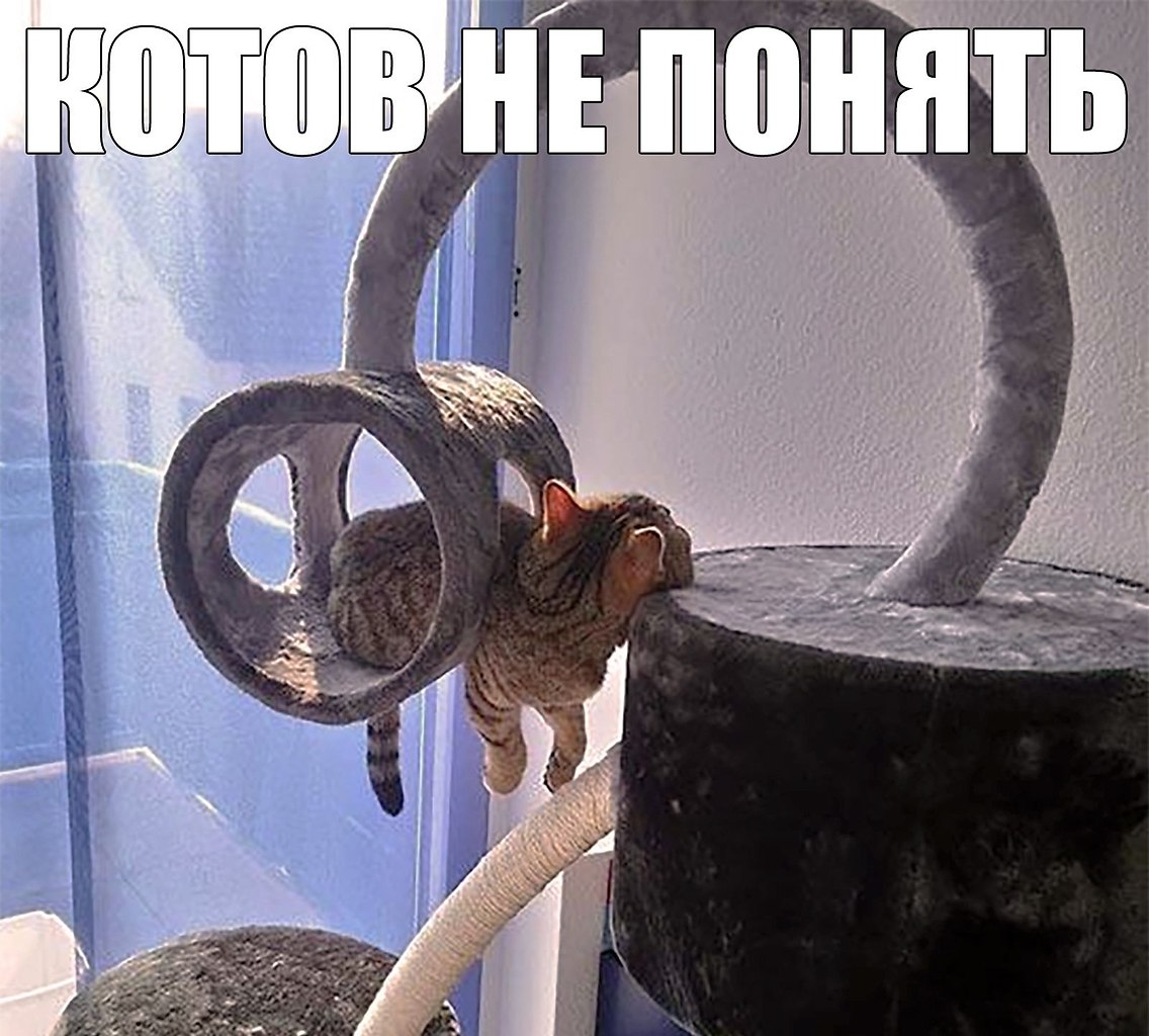    :D - 6  2020  18:44