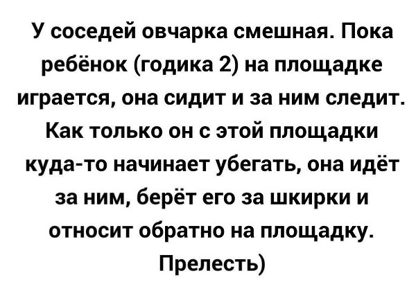 ������� - 1 ����� 2020 � 18:29