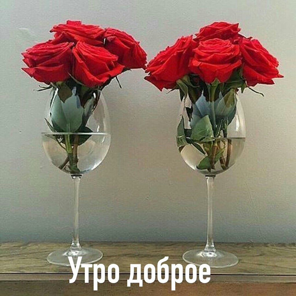   ,    . - 17  2020  22:02 - 2