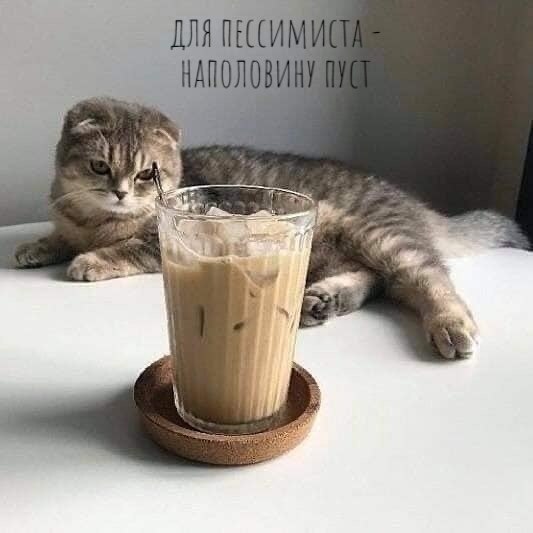 � ��� ���� �����))� - 2