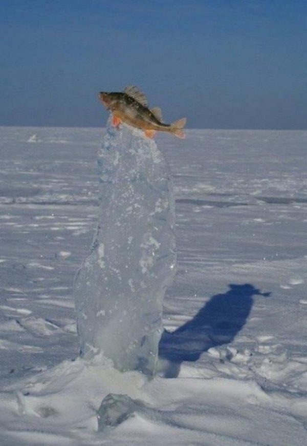    - 3
