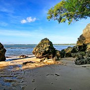 ���������, , ������