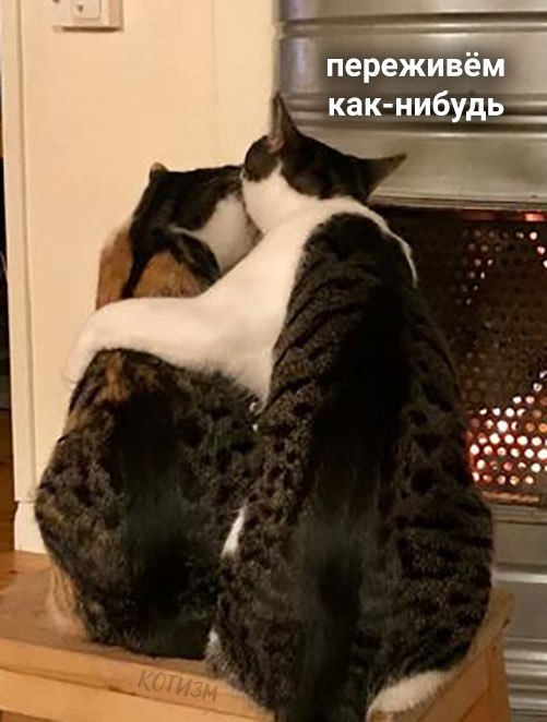 ,     -  ,  : - 2