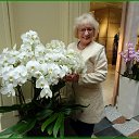 ���� ������� �����, ������, 69 ��� - ��������� 28 ����� 2020 � ������ ���� ����������