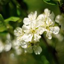 ���� ������, �������������-���������� - ��������� 11 ���� 2020 � ������ ����� ��� � ��� ���� ������...�